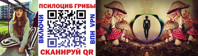 Купить где  Невинномысск  Псилоцибиновые грибы MAGIC MUSHROOMS 